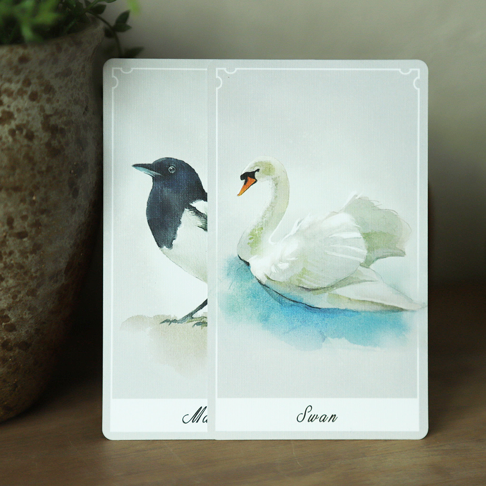 Birdy Oracle
