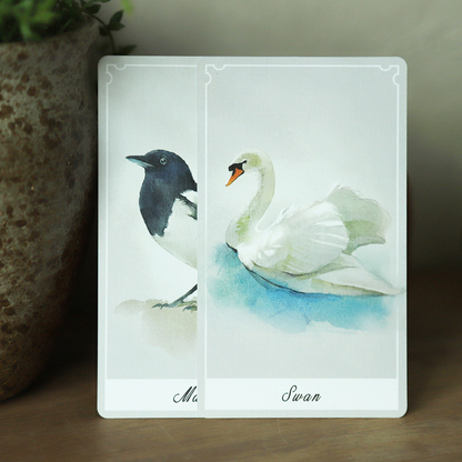 Birdy Oracle