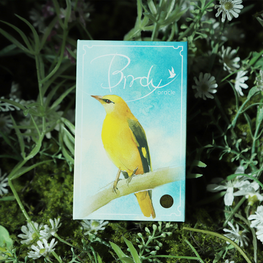 Birdy Oracle