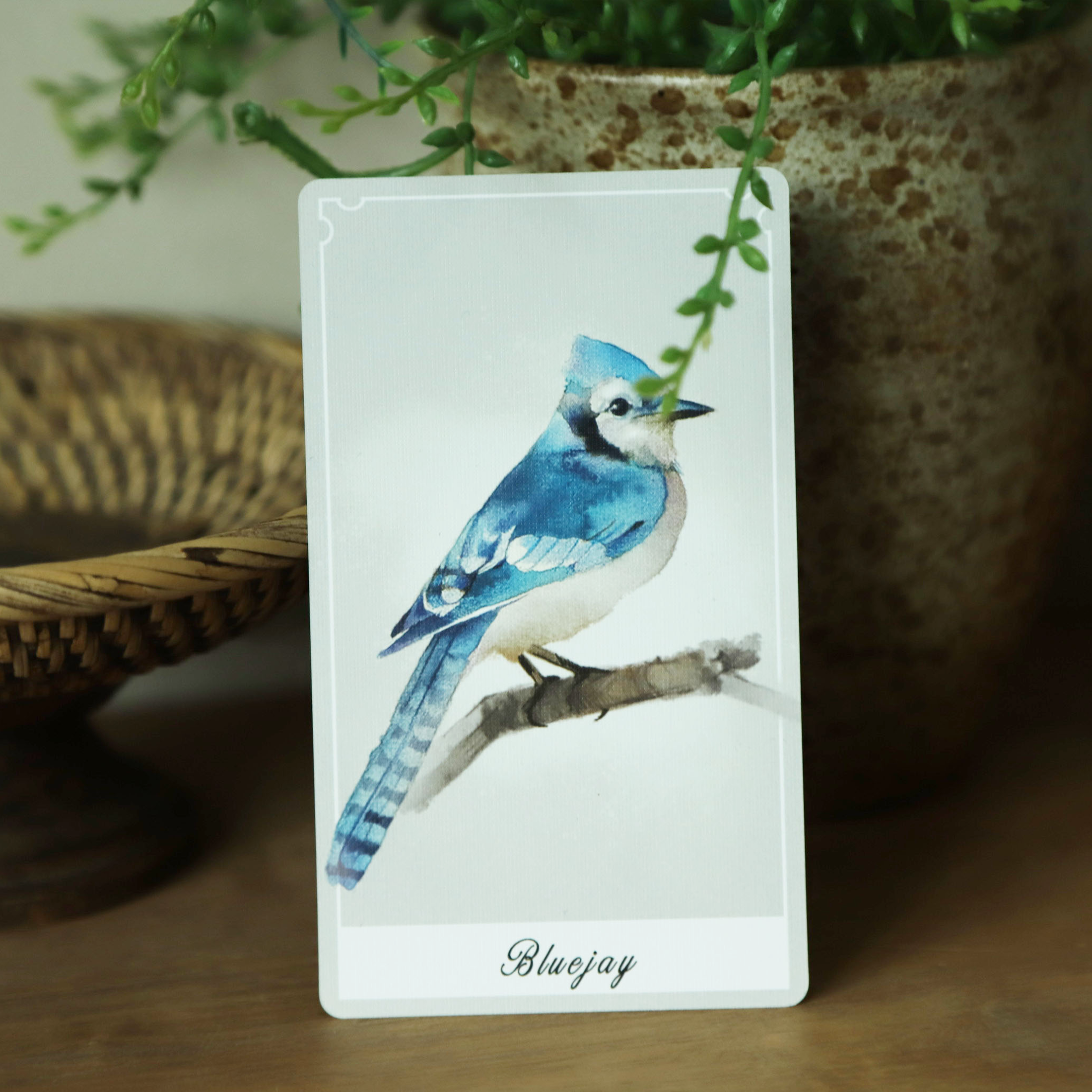 Birdy Oracle