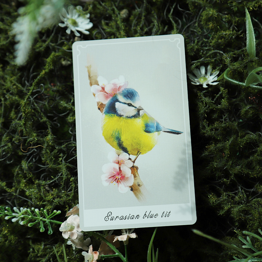 Birdy Oracle