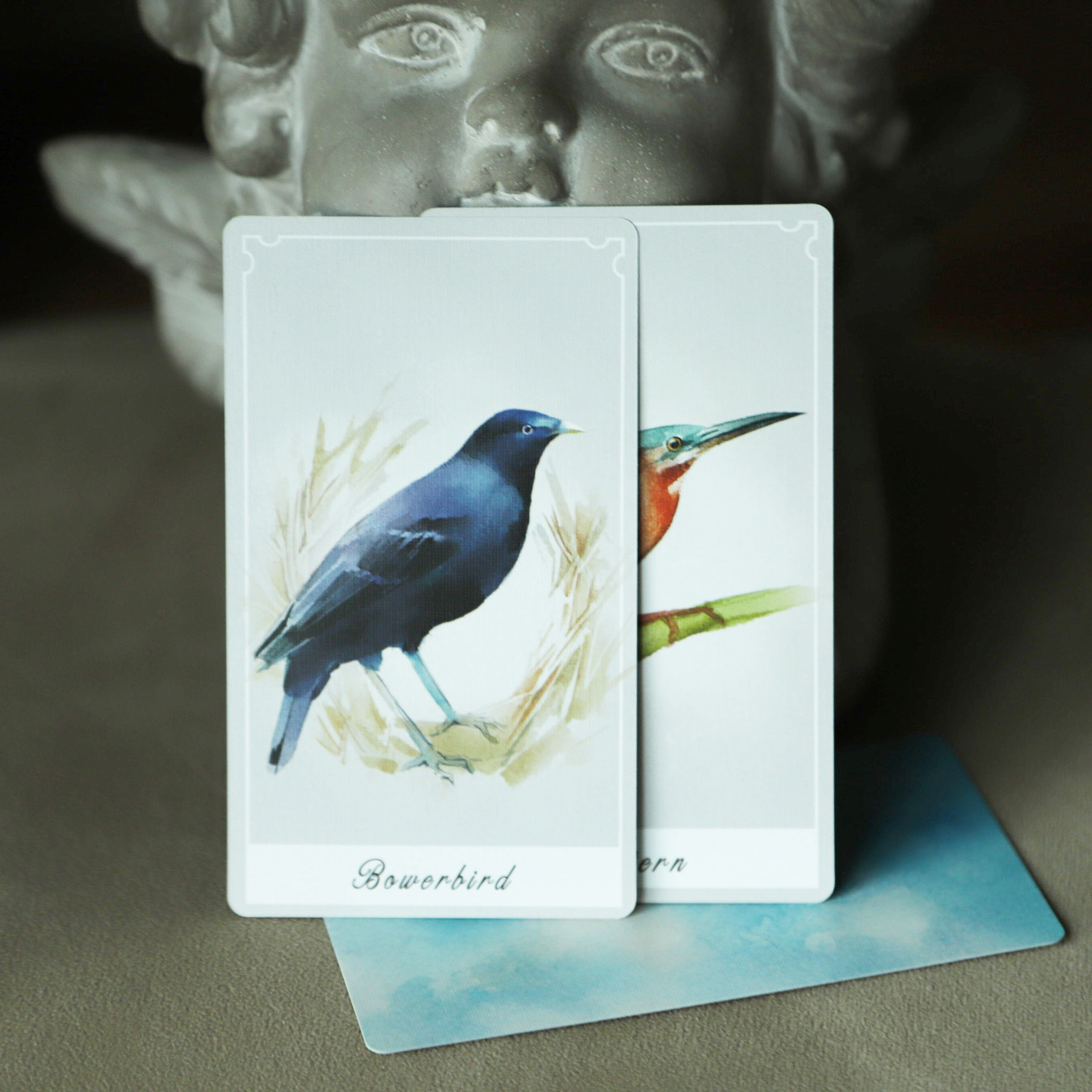 Birdy Oracle