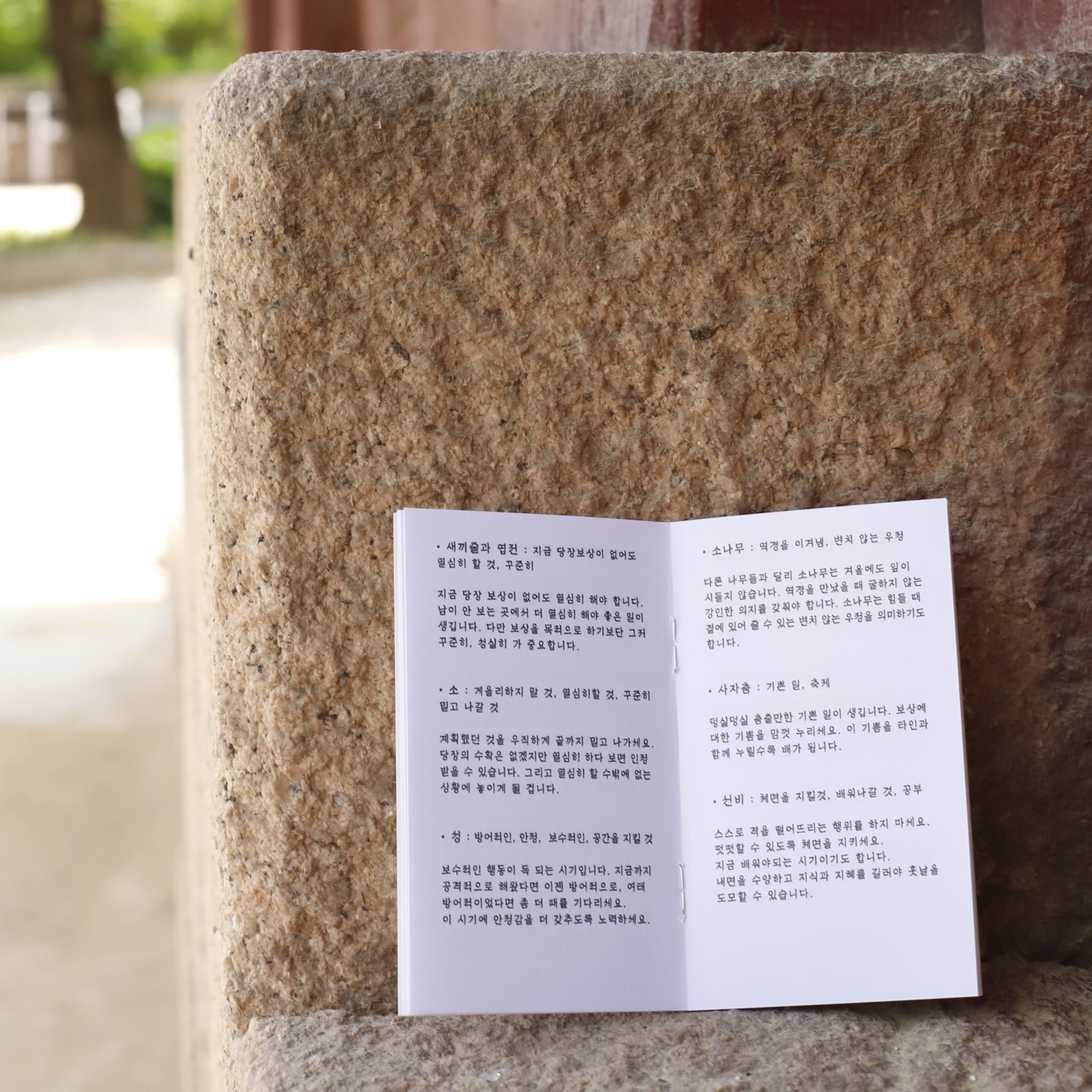 Joseon oracle card