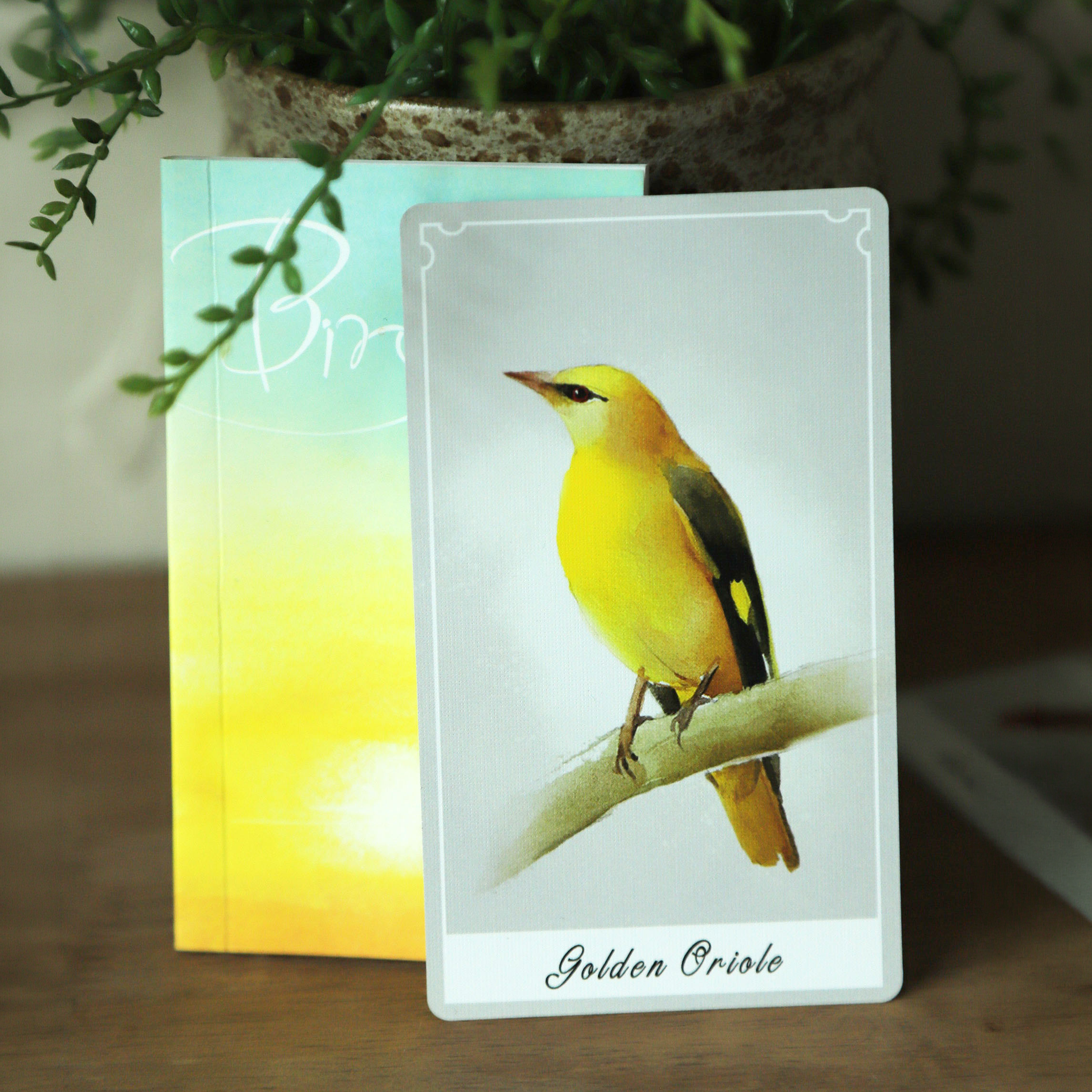 Birdy Oracle