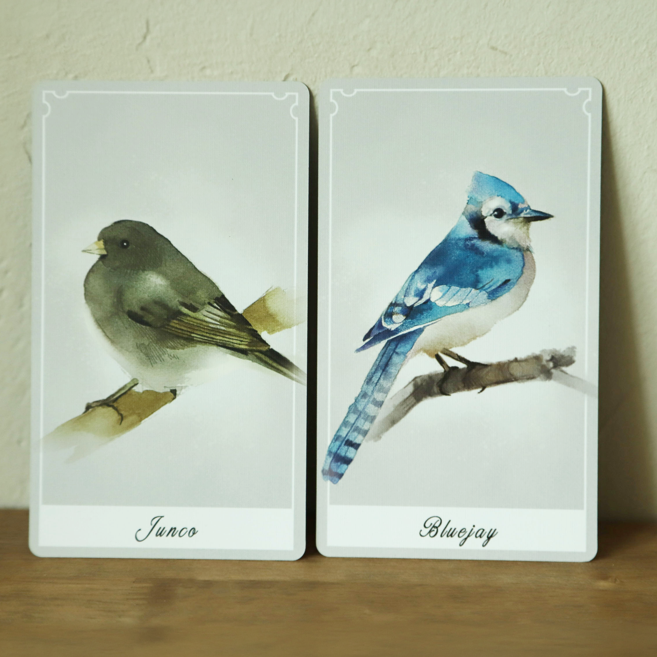Birdy Oracle