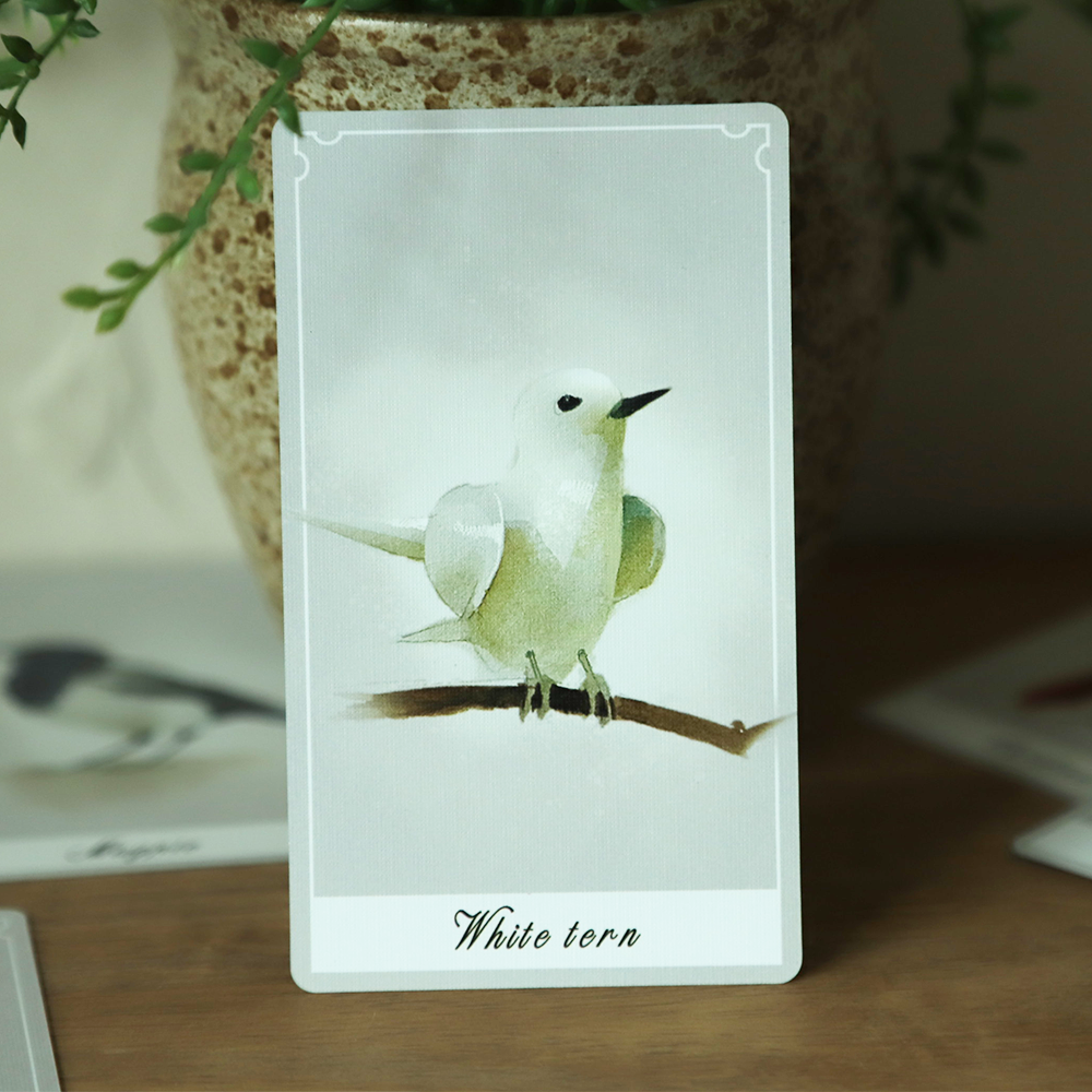 Birdy Oracle